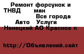 Ремонт форсунок и ТНВД Man (ман) TGA, TGL, TGS, TGM, TGX - Все города Авто » Услуги   . Ненецкий АО,Красное п.